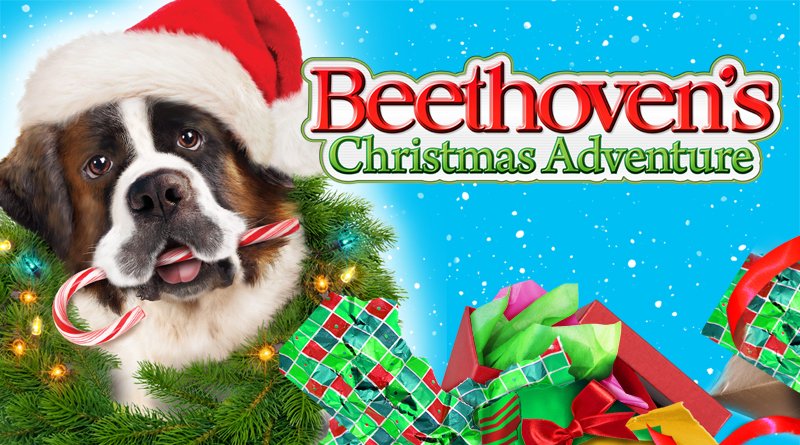 beethovens christmas adventure movie page dvd blu ray digital beethoven s christmas