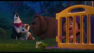 Watch secret life of pets 2 online free new arrivals
