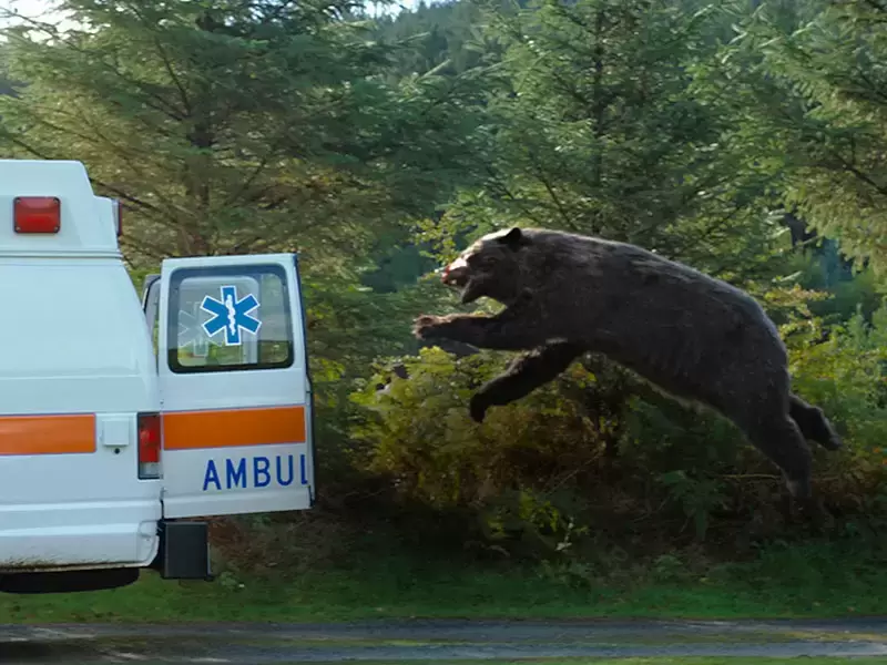 Cocaine Bear