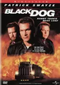 Black Dog Black Dog