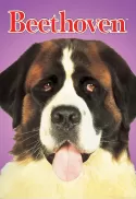 Beethoven Beethoven