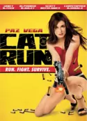 Cat Run Cat Run
