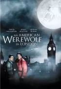 An American Werewolf in London An American Werewolf in London