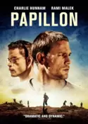 Papillon Papillon