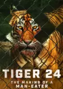 Tiger 24 Tiger 24
