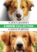 A Dog's Journey / A Dog's Purpose 2-Movie Collection A Dog's Journey / A Dog's Purpose 2-Movie Collection