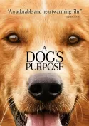 A Dog's Purpose A Dog's Purpose