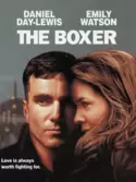 The Boxer The Boxer
