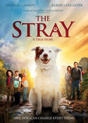 The Stray The Stray