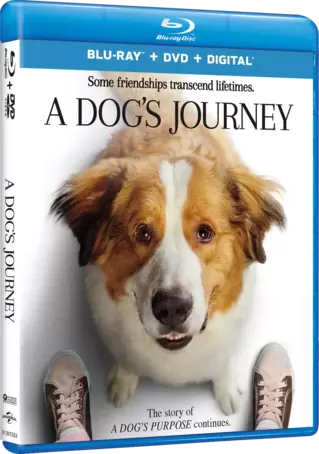 A Dog's Journey | Watch Page | DVD, Blu-ray, Digital HD, On Demand ...