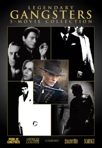 Legendary Gangsters: 5-Movie Collection (American Gangster / Carlito's Way / Casino / Public Enemies / Scarface)