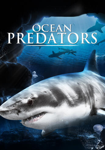 Ocean Predators