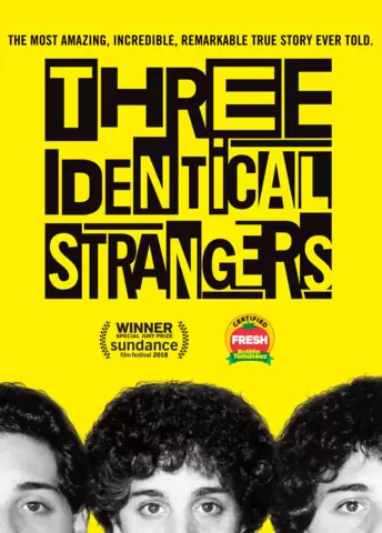 Three Identical Strangers