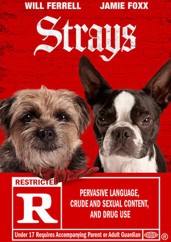 Strays (2023)