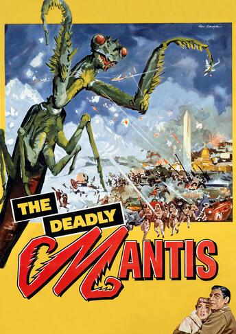 The Deadly Mantis