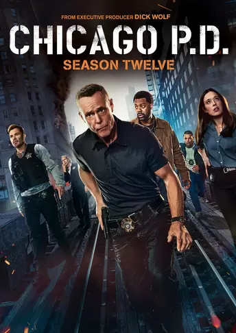 Chicago P.D.: Season Twelve