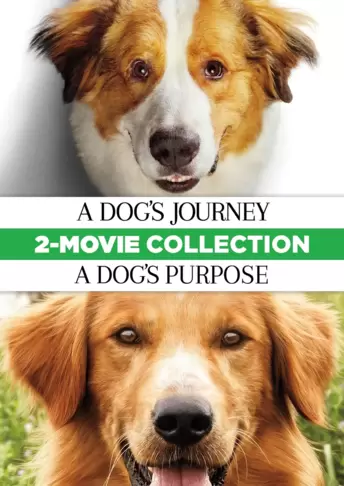 A Dog's Journey / A Dog's Purpose 2-Movie Collection