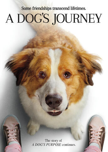 A Dogs Journey