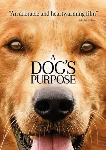 A Dog's Purpose